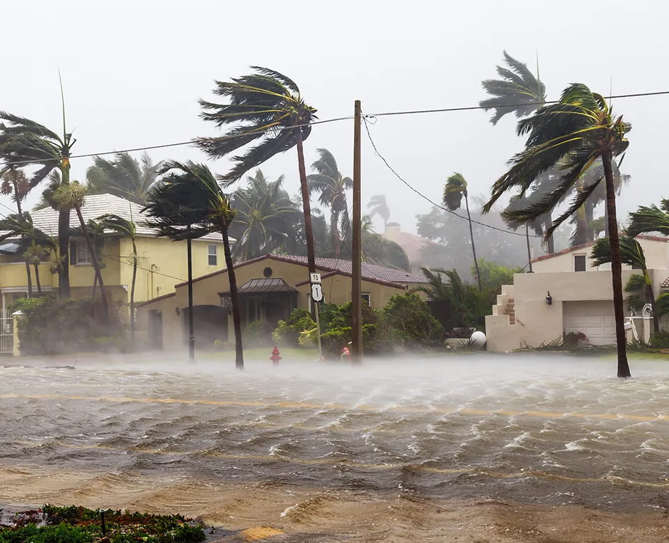 NR Restoration|HURRICANES AND STORMS restoration